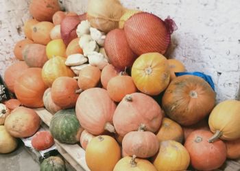 Finał albertyńskiej akcji „Ziemiopłody”. Ponad 25 ton warzyw dla potrzebujących