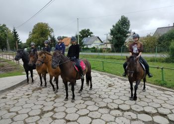 Pasja do koni w „Raporcie rolniczym”