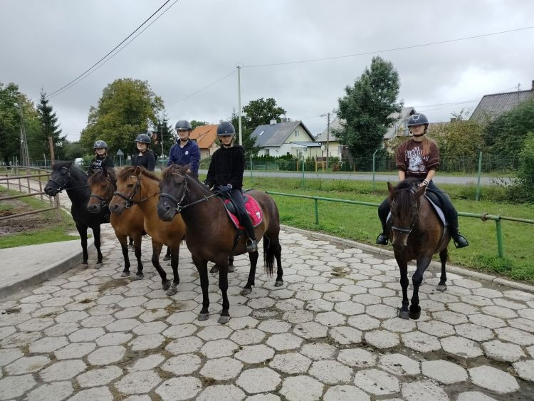 Pasja do koni w „Raporcie rolniczym”