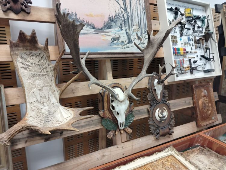 Targi Łowiectwa i Leśnictwa w Jasionce