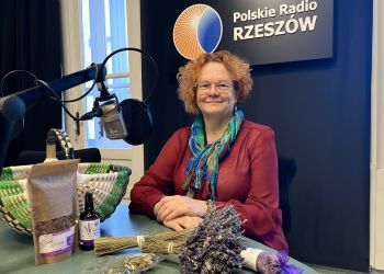 Aromatyczne królestwo lawendy na Podkarpaciu