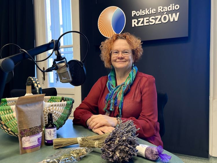 Aromatyczne królestwo lawendy na Podkarpaciu