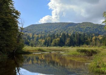 Gdzie nogi poniosą? Do Doliny Rabskiego Potoku! [ZDJĘCIA]