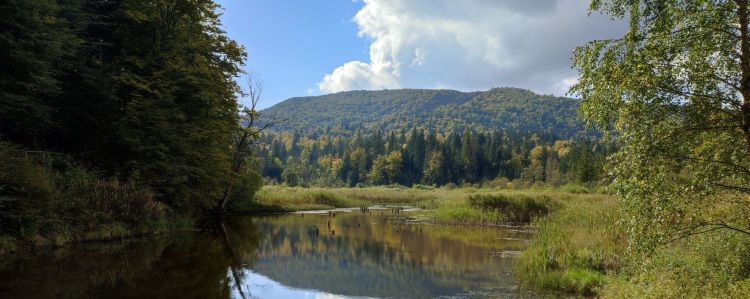Gdzie nogi poniosą? Do Doliny Rabskiego Potoku! [ZDJĘCIA]