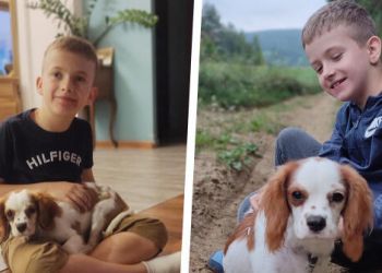 Ośmioletni Maksymilian Tocki walczy o terapię genową