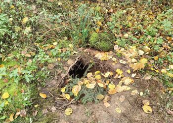 Wykopali tunel między Białorusią a Polską. Prawdopodobnie miał służyć nielegalnym migrantom