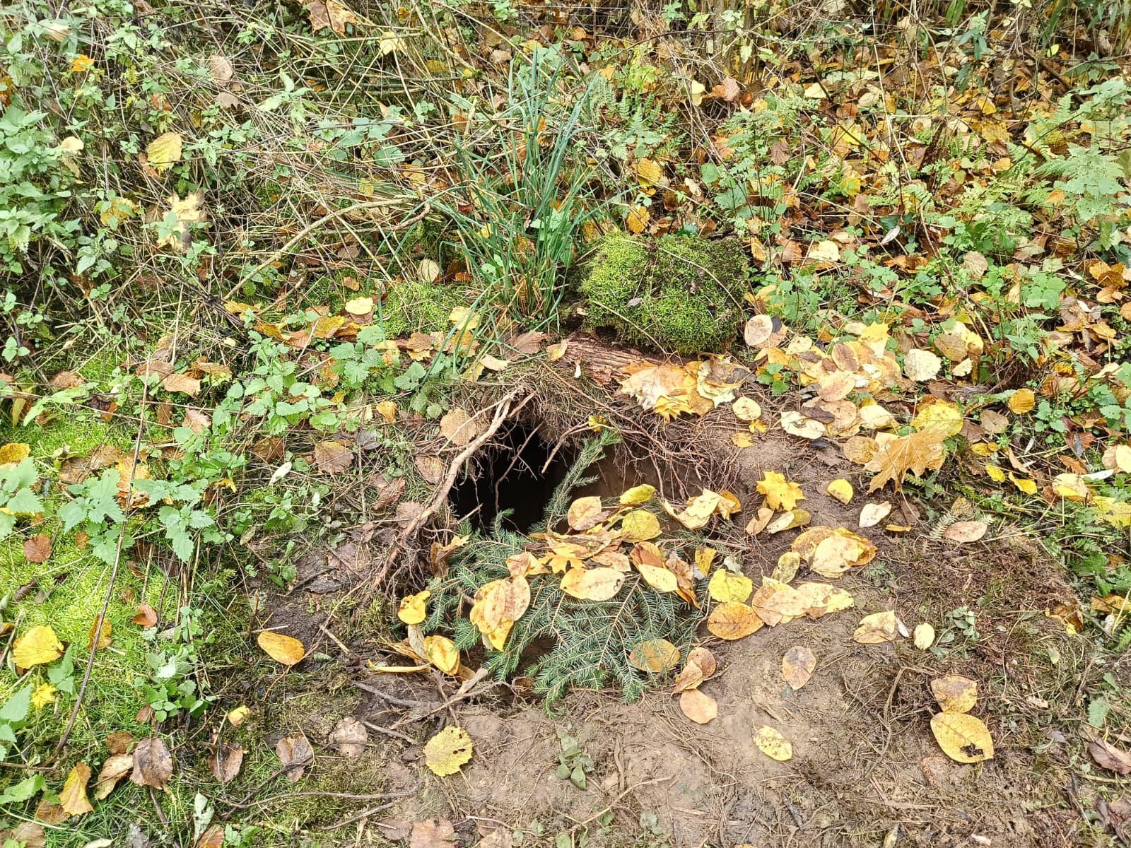 Wykopali tunel między Białorusią a Polską. Prawdopodobnie miał służyć nielegalnym migrantom 6 - Polskie Radio Rzeszów Wykopali tunel między Białorusią a Polską. Prawdopodobnie miał służyć nielegalnym migrantom