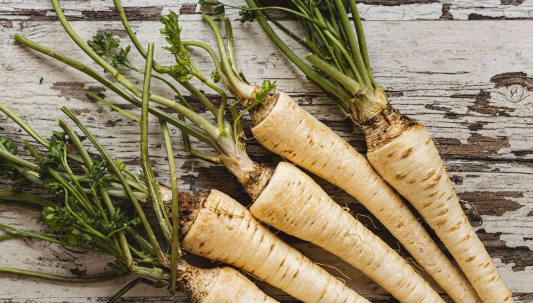 Światowy Dzień Owoców i Warzyw – kruczmorka i dawne rośliny jadalne