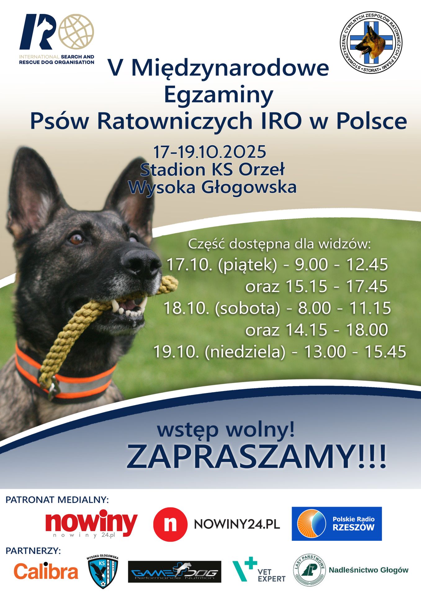 Międzynarodowe Egzaminy Psów Ratowniczych w Wysokiej Głogowskiej - Polskie Radio Rzeszów