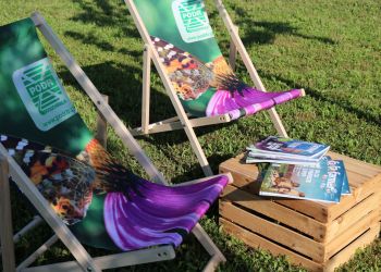 XX Jesienna Giełda Ogrodnicza. Święto tradycji, natury i muzyki