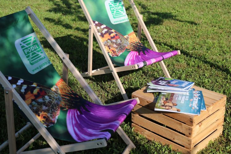 XX Jesienna Giełda Ogrodnicza. Święto tradycji, natury i muzyki