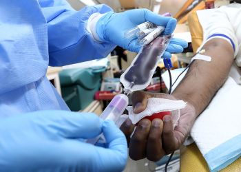 Na Podkarpaciu mieszka prawie 870 dawców szpiku i komórek macierzystych