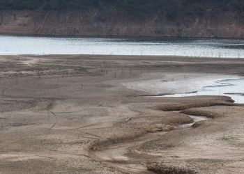 Susza hydrologiczna na Podkarpaciu. Niski poziom wód m.in. w rejonie Wisły