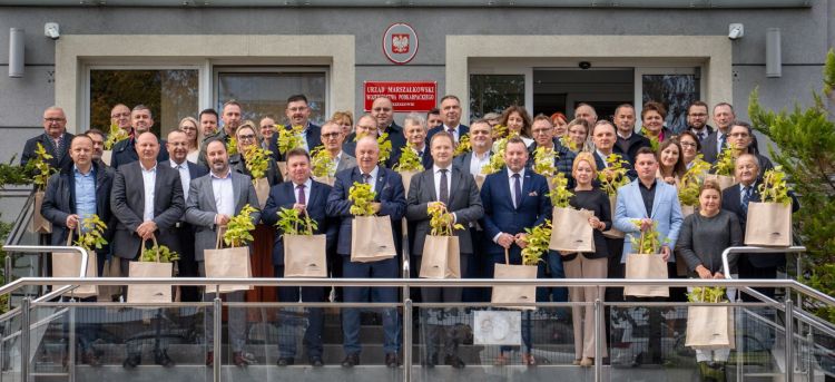 Tysiące nowych drzew i krzewów na Podkarpaciu. Samorządy odebrały miododajne sadzonki