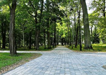 Zabytkowy park w Bojanowie przechodzi rewitalizację. Zakończono pierwszy etap [ZDJĘCIA]