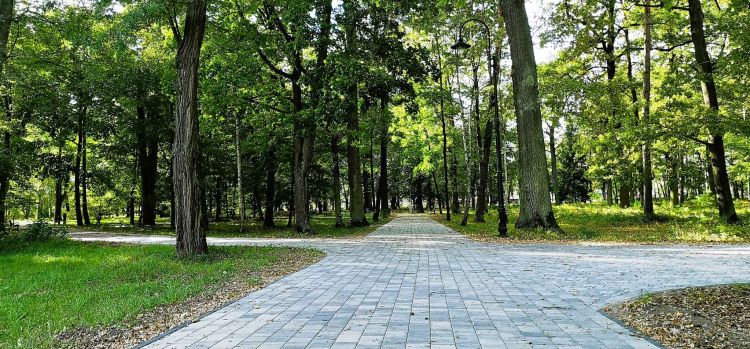 Zabytkowy park w Bojanowie przechodzi rewitalizację. Zakończono pierwszy etap [ZDJĘCIA]