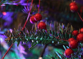 Rzeszów przygotowuje się do Świąt Bożego Narodzenia – miasto rozbłyśnie blisko 500 punktami świetlnymi