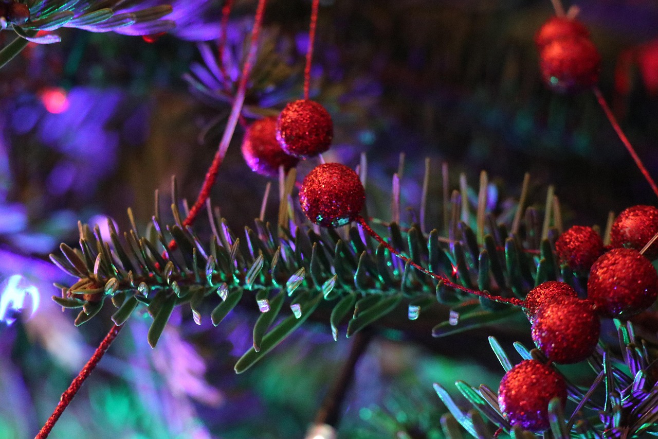 Rzeszów przygotowuje się do Świąt Bożego Narodzenia – miasto rozbłyśnie blisko 500 punktami świetlnymi