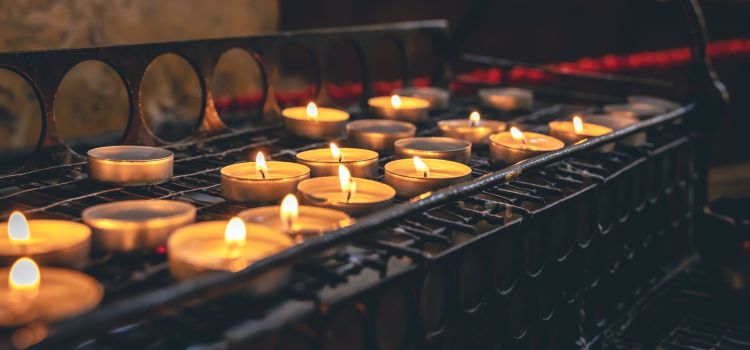 Uczniowie z Rajbrotu wspierają akcję „Światełko pamięci dla Łyczakowa”