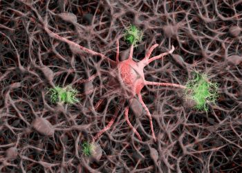 Powstał laboratoryjny model ludzkiego embrionu