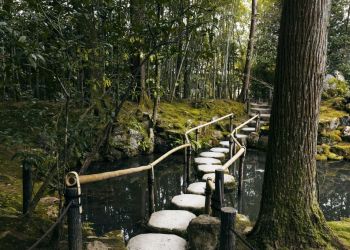 Wrocław: trwają starania o utworzenie pierwszego rezerwatu przyrody