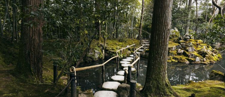 Wrocław: trwają starania o utworzenie pierwszego rezerwatu przyrody