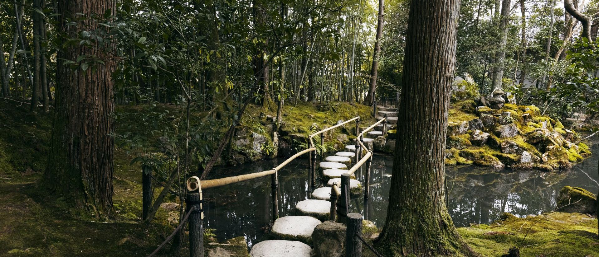 Wrocław: trwają starania o utworzenie pierwszego rezerwatu przyrody