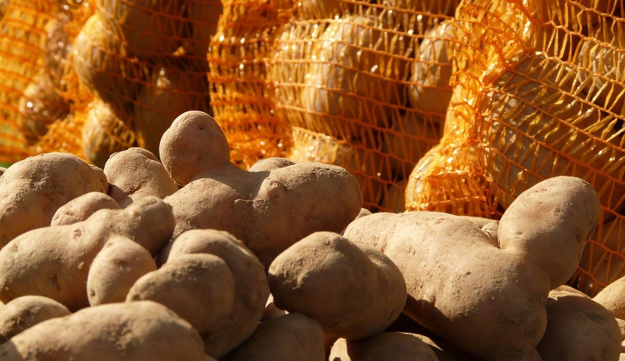 Kryzys w rolnictwie na Podkarpaciu: plony wysokie, zyski zerowe. Rolnicy rezygnują ze zbiorów 6 - Polskie Radio Rzeszów Kryzys w rolnictwie na Podkarpaciu: plony wysokie, zyski zerowe. Rolnicy rezygnują ze zbiorów