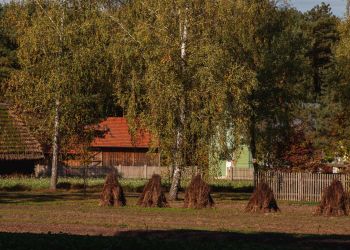 „Weekend seniora z kulturą” w Muzeum Kultury Ludowej w Kolbuszowej