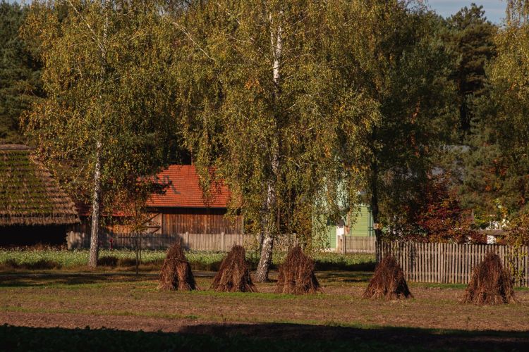 „Weekend seniora z kulturą” w Muzeum Kultury Ludowej w Kolbuszowej