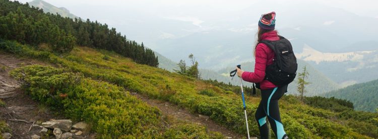 Gdzie nogi poniosą? Do Jodłowej!