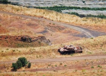 Szef MSZ Radosław Sikorski: polscy obywatele zatrzymani przez Izrael powinni w najbliższych dniach wrócić do kraju