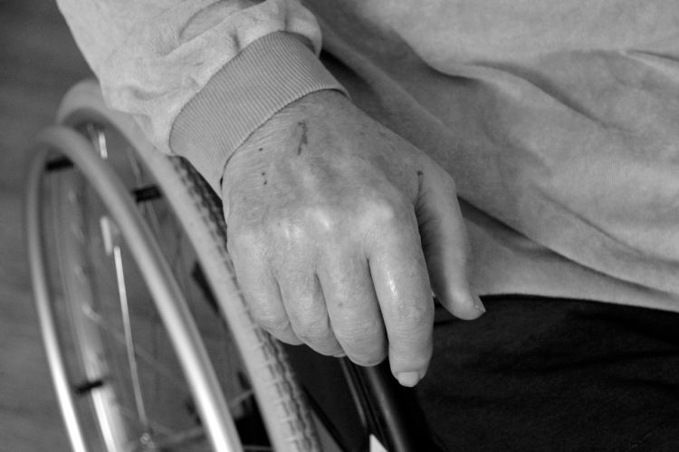 Wystawa zdjęć "Aktywni w pracy" fotografki Małgorzaty Bazylewicz 1 - Polskie Radio Rzeszów Wystawa zdjęć „Aktywni w pracy” fotografki Małgorzaty Bazylewicz