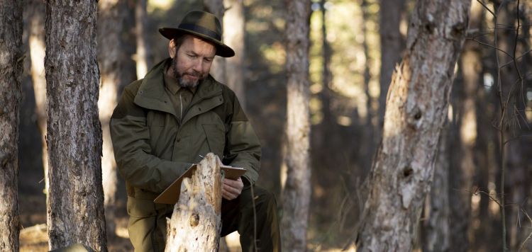 Leśne dziedzictwo Bieszczadów pod ochroną – nowe inicjatywy w Sanoku i na zamku Sobień