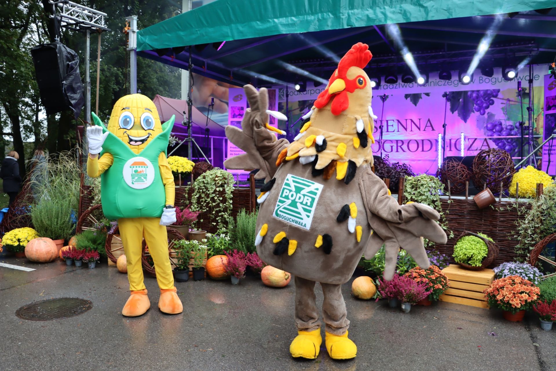 Raport rolniczy: podsumowanie października. Z wizytą w Kopaniach Żołyńskich