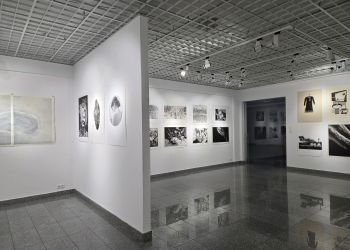 „Pracownia w Galerii” – nowy projekt artystyczny na 25-lecie Uniwersytetu Rzeszowskiego [ZDJĘCIA]