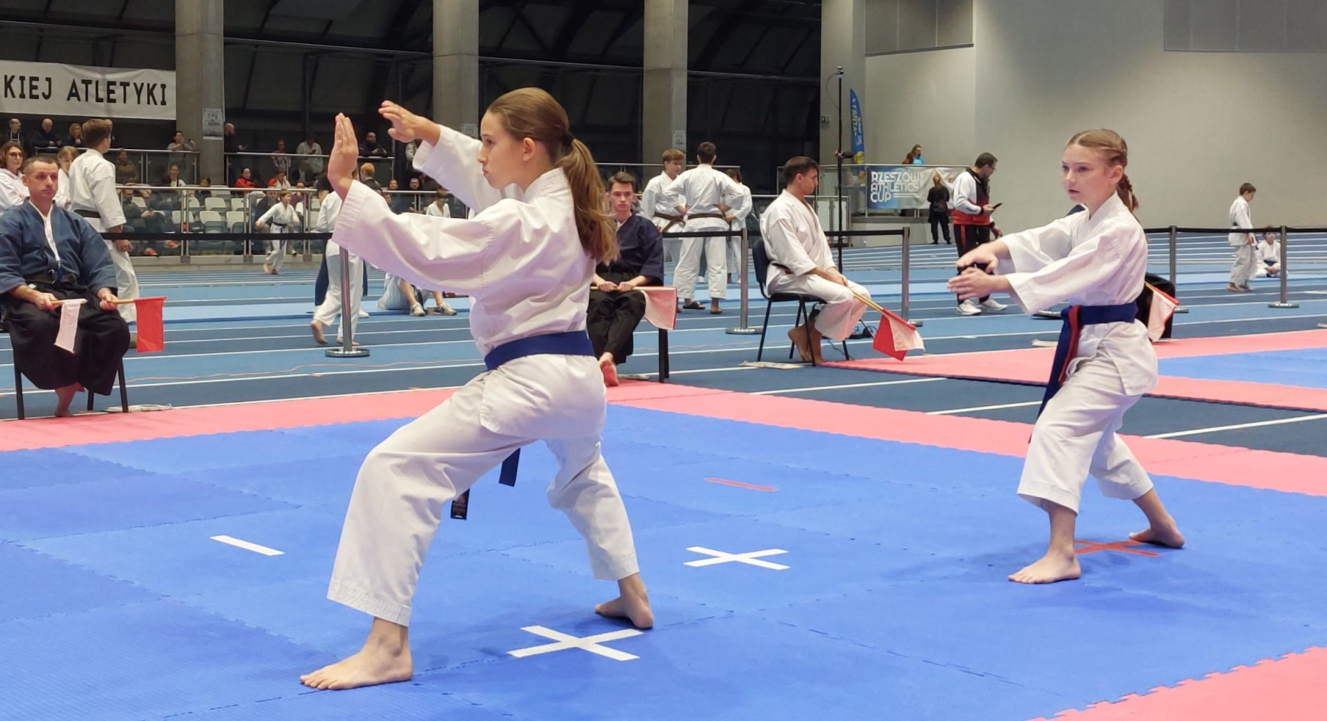 Kilkuset zawodników przyjechało do stolicy Podkarpacia na Resovia Karate Cup [ZDJĘCIA]