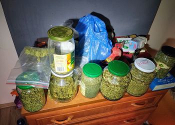 Narkotyki w domu 37-latka, który zniszczył samochody w Wysokiej Głogowskiej
