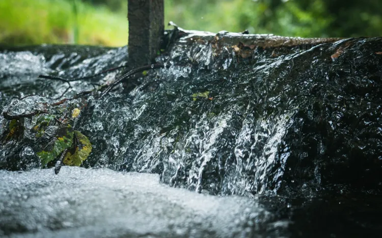 Polsko-ukraiński projekt pomoże monitorować jakość wody na pograniczu 1 - Polskie Radio Rzeszów Polsko-ukraiński projekt pomoże monitorować jakość wody na pograniczu