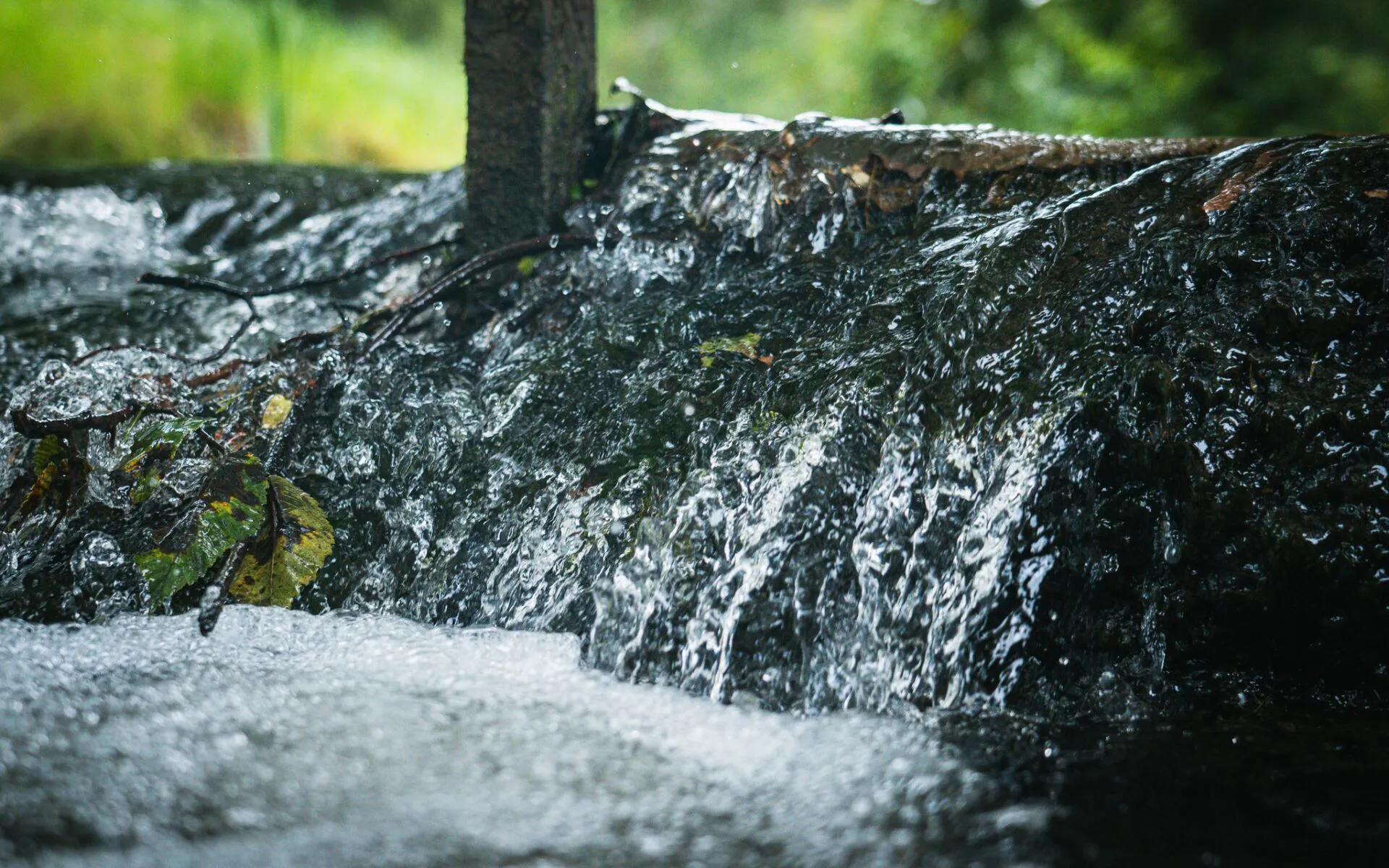 Polsko-ukraiński projekt pomoże monitorować jakość wody na pograniczu 8 - Polskie Radio Rzeszów Polsko-ukraiński projekt pomoże monitorować jakość wody na pograniczu