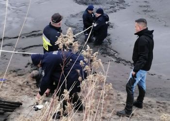 Zaginiona 73-latka odnaleziona w stawie. Policjanci uratowali kobietę