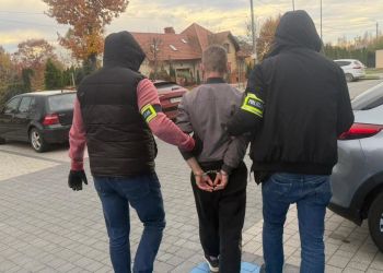 Mężczyźni z powiatu niżańskiego oszukiwali mieszkańców „na wypadek”. Wyłudzili w sumie 300 tys. zł