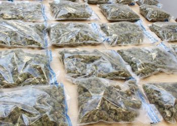 Tarnobrzeg: policjanci przejęli ponad 21 kilogramów narkotyków. Dwóch mężczyzn w areszcie