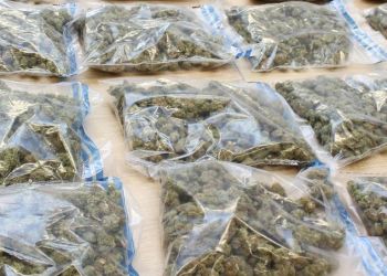 Tarnobrzeg: policjanci przejęli ponad 21 kilogramów narkotyków. Dwóch mężczyzn w areszcie