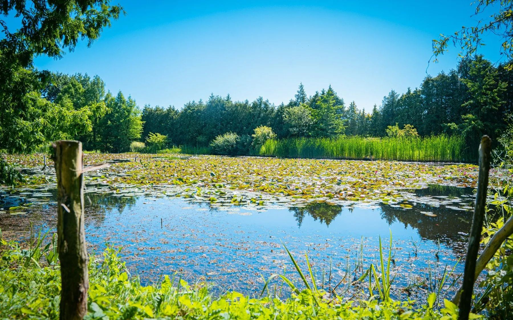 Dlaczego warto patrzeć w oczka wodne? 8 - Polskie Radio Rzeszów Dlaczego warto patrzeć w oczka wodne?