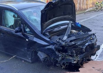 Wypadek w Tryńczy. Samochód uderzył w przepust, dwie osoby ranne [ZDJĘCIA] [AKTUALIZACJA]