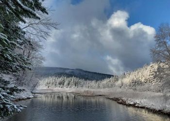 Tak wyglądają Bieszczady po nocnych opadach śniegu [ZDJĘCIA]