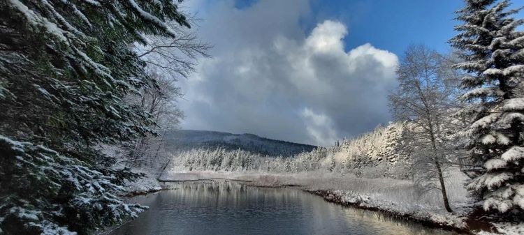 Tak wyglądają Bieszczady po nocnych opadach śniegu [ZDJĘCIA]