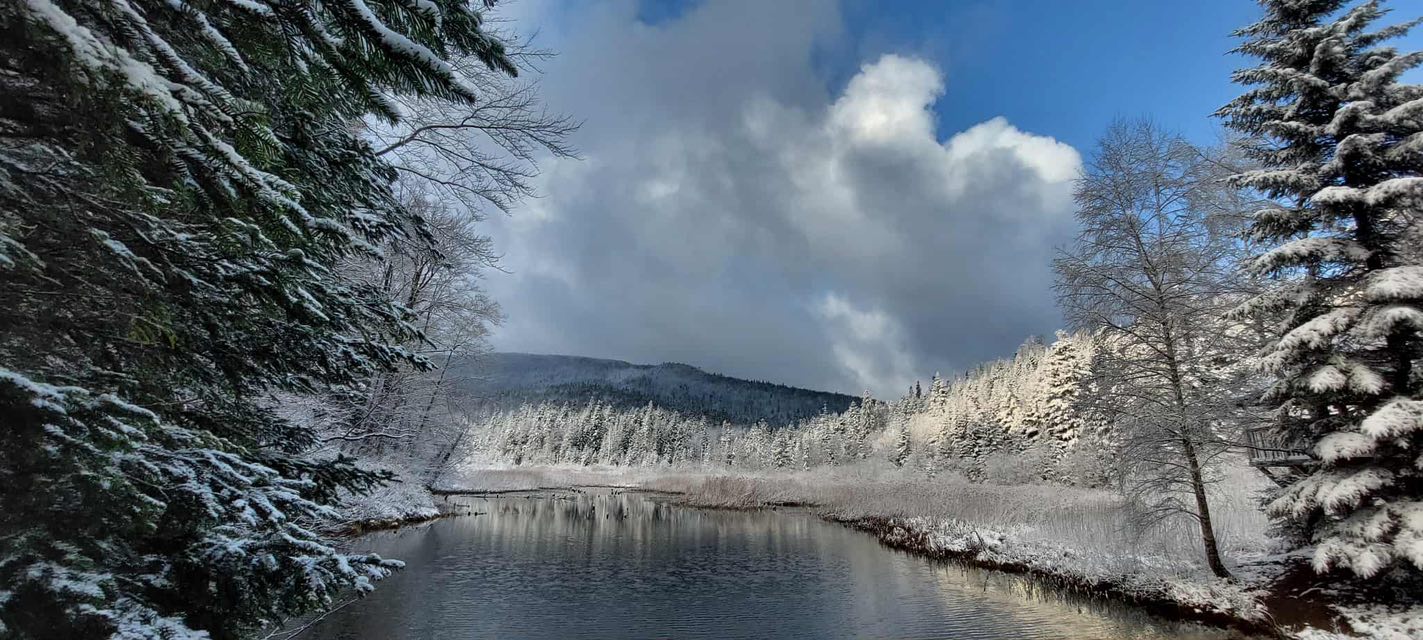 Tak wyglądają Bieszczady po nocnych opadach śniegu [ZDJĘCIA]
