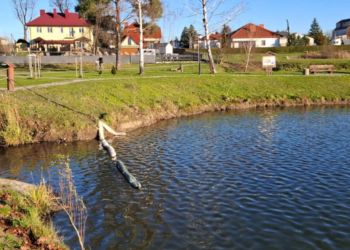 Substancje ropopochodne na Stawie Skrzynczyna. Służby prowadzą działania